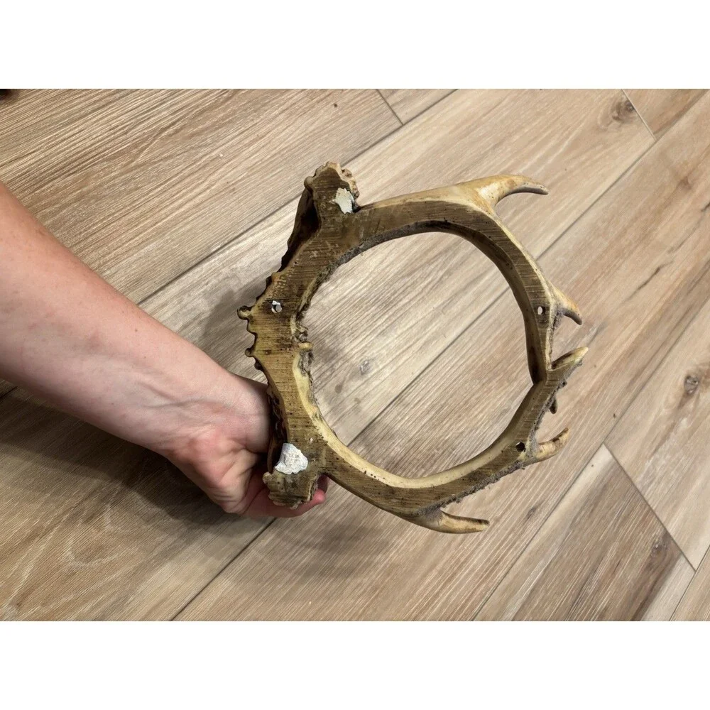 Antler Round Resin Mirror Picture Frame Faux, Rustic Cabin Wall Decor Deer Hunt